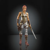 Masters of the Universe Chronicles 2026 Movie Teela